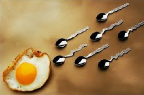 Eggs